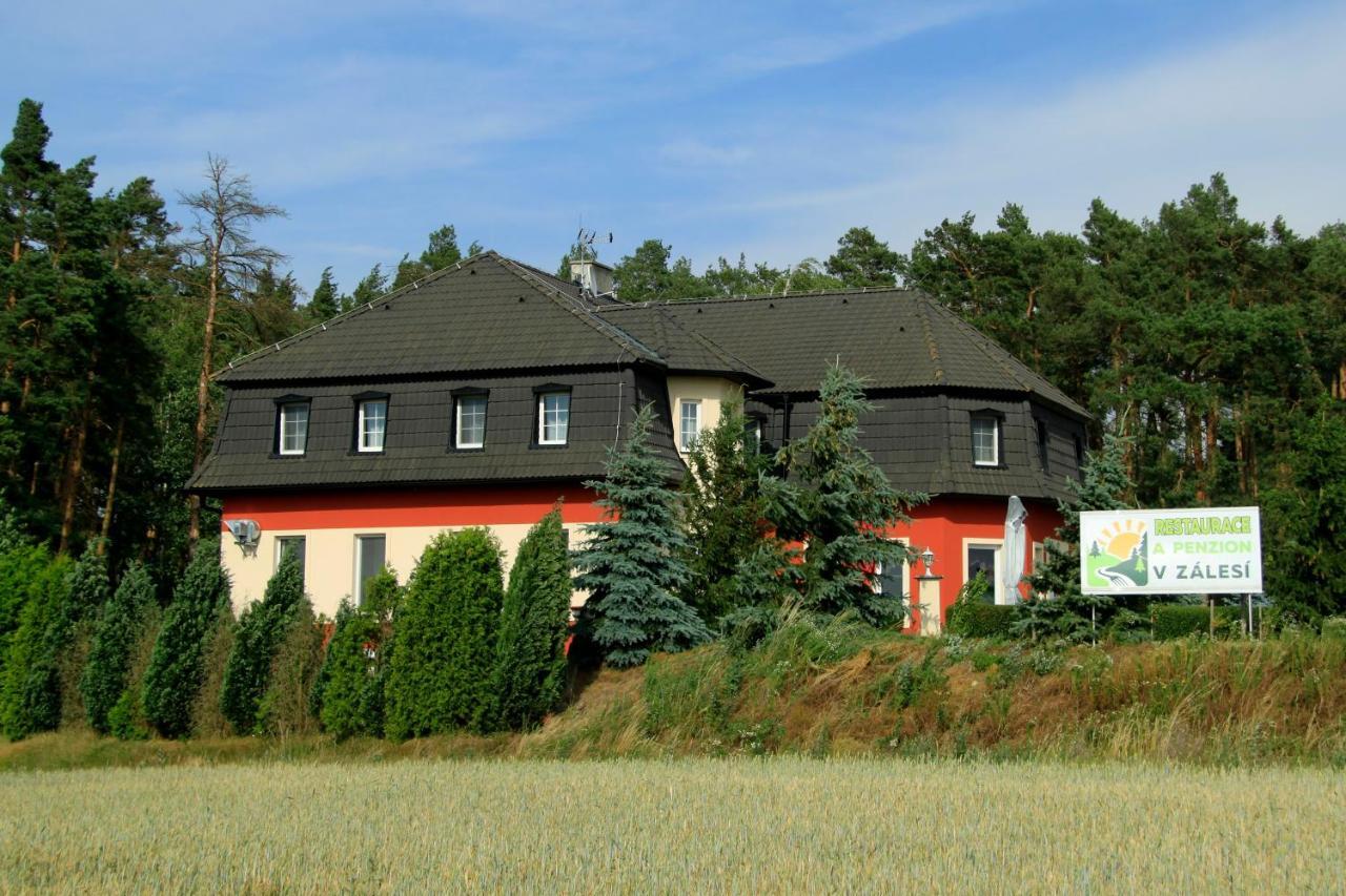 Penzion V Zalesi Hotel Mlada Boleslav Bagian luar foto